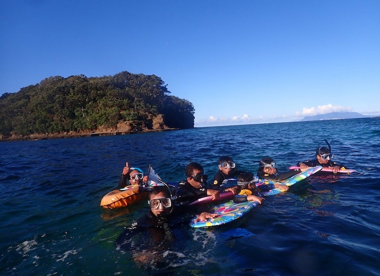 Leigh: Goat Island Guided Snorkeling Tour for Beginners