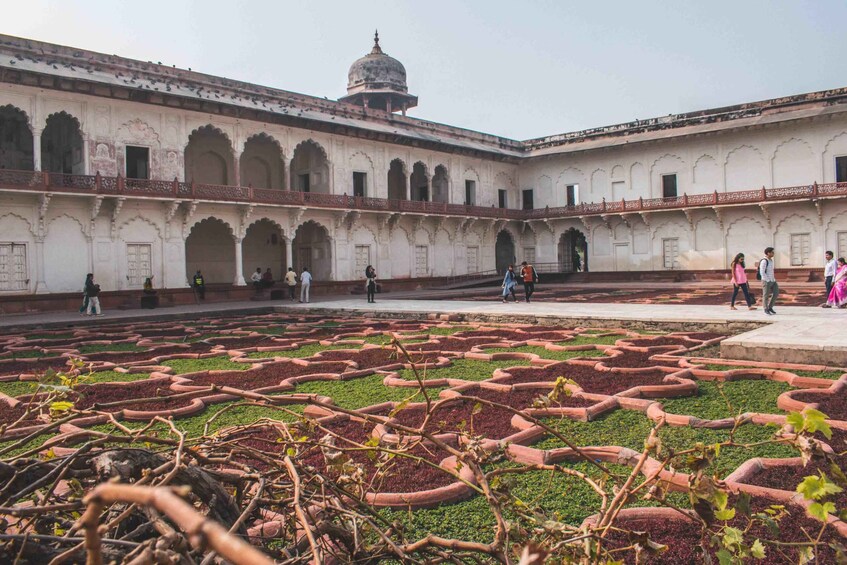 Picture 7 for Activity From Delhi: Private Taj Mahal Sunrise & Sunset 2-Day Tour