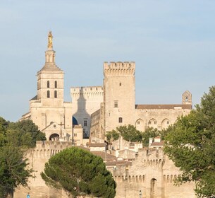 Marseille : excursion en bateau de croisière à Avignon et au Palais des Pap...