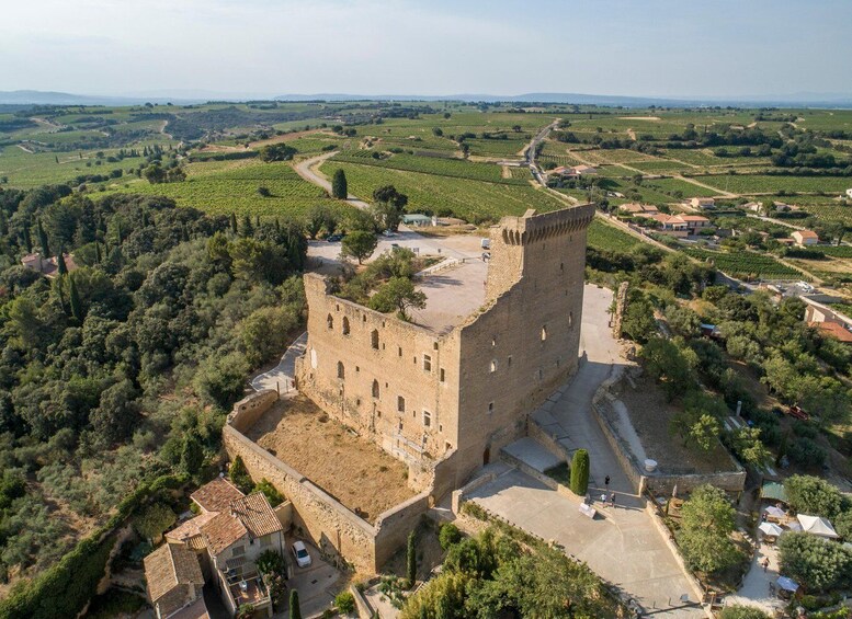 Picture 5 for Activity Marseille: Cruise Ship Excursion to Avignon & Pope's Palace