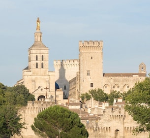 Marseille: cruiseschipexcursie naar Avignon en het pauselijke paleis