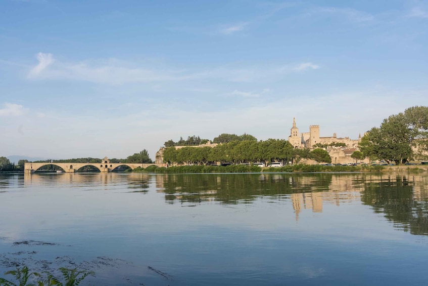 Picture 6 for Activity From Marseille: Avignon & wine tasting Shore Excursion