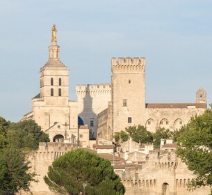 Marseille: Tamasya Kapal Pesiar ke Avignon & Istana Paus