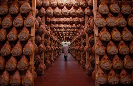 Fra Bologna eller Modena: Gastronomisk tur til Parma med frokost