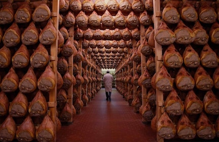 Bolognasta tai Modenasta: Modena: Parma Gastronomic Tour with Lunch