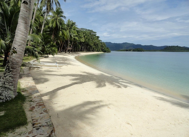 Picture 5 for Activity Port Barton: Island Hopping to Turtle Spot & Reef with Lunch