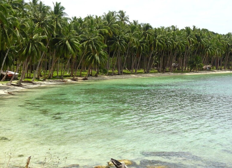 Picture 7 for Activity Port Barton: Island Hopping to Turtle Spot & Reef with Lunch