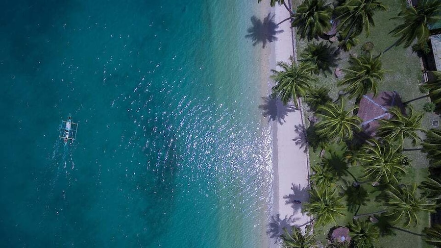 Port Barton: Island Hopping to Turtle Spot & Reef with Lunch