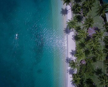 Port Barton : Visite de l'île à Turtle Spot et Reef avec déjeuner