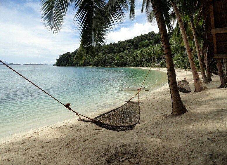 Picture 6 for Activity Port Barton: Island Hopping to Turtle Spot & Reef with Lunch