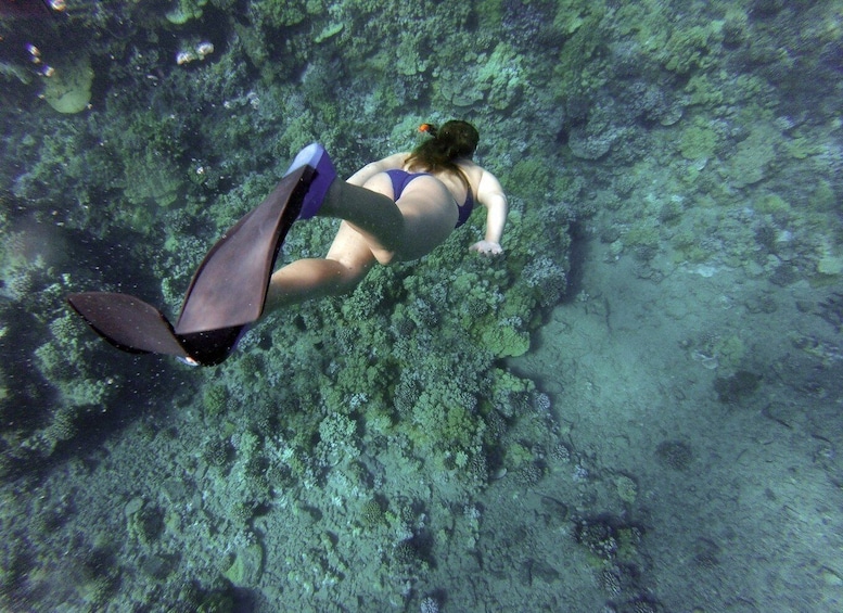 Picture 2 for Activity Port Barton: Island Hopping to Turtle Spot & Reef with Lunch