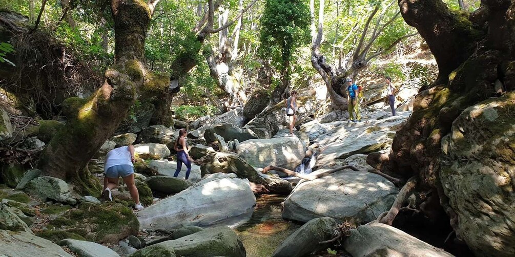 Picture 4 for Activity Andros: Achla River Trekking to the Waterfall