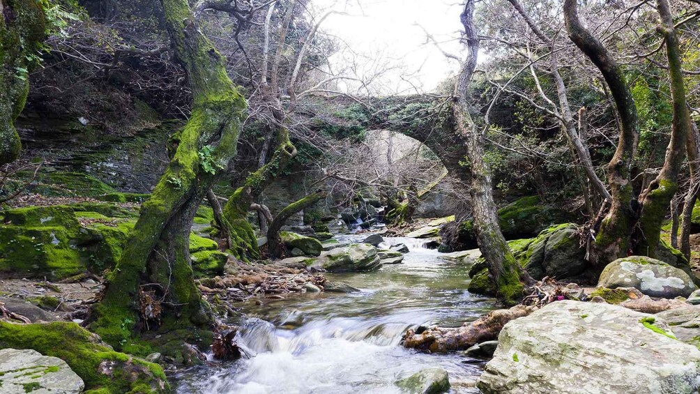 Picture 9 for Activity Andros: Achla River Trekking to the Waterfall