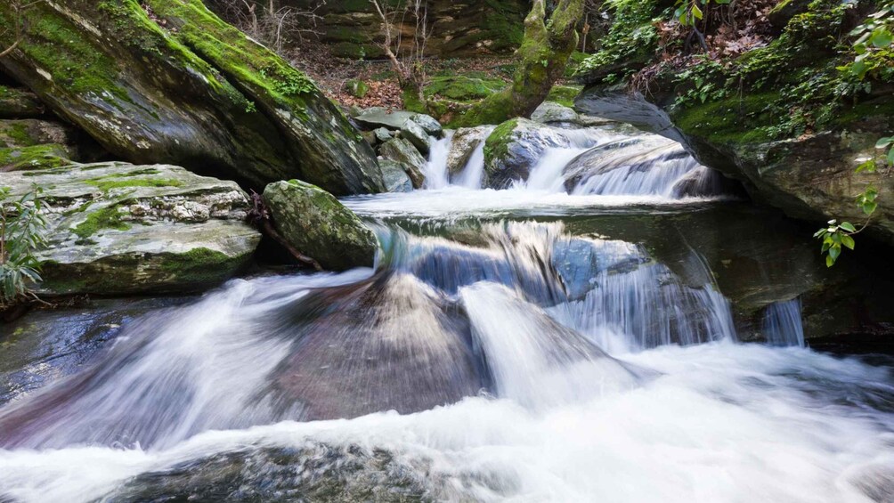 Picture 10 for Activity Andros: Achla River Trekking to the Waterfall