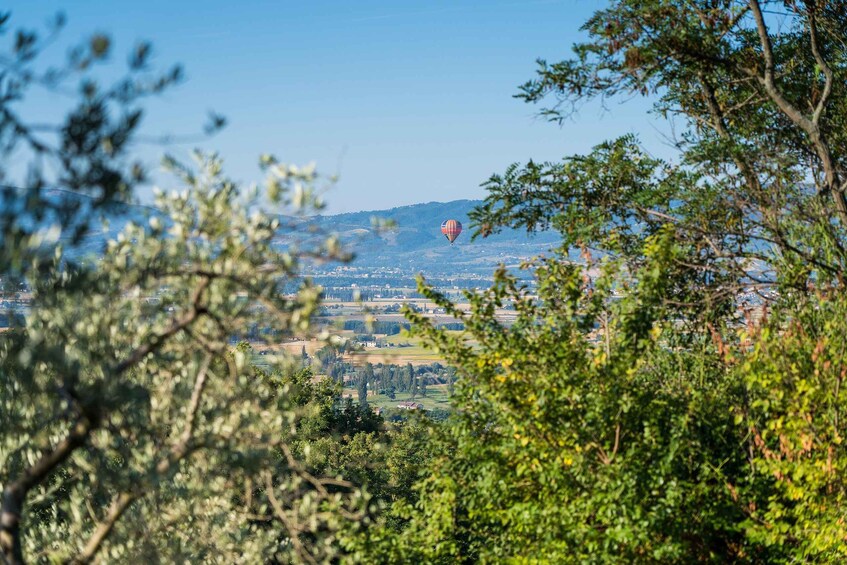 Picture 6 for Activity Assisi: Hot Air Balloon Ride with Breakfast & Wine Tasting