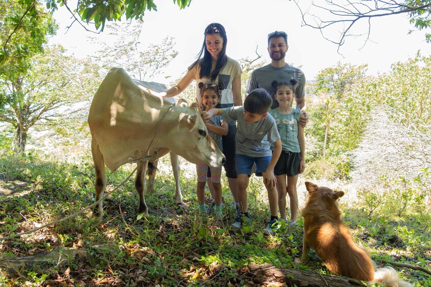 Picture 1 for Activity Finca El Paraiso Farm Cheese Tour in Monteverde