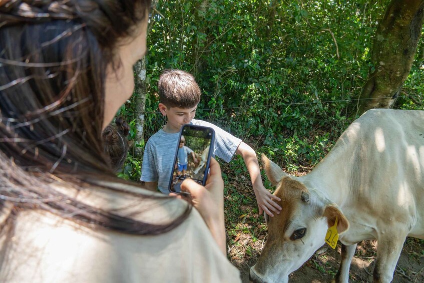 Picture 14 for Activity Finca El Paraiso Farm Cheese Tour in Monteverde