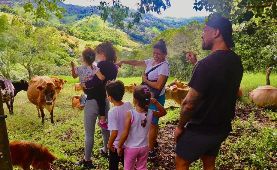 Picture 4 for Activity Finca El Paraiso Farm Cheese Tour in Monteverde