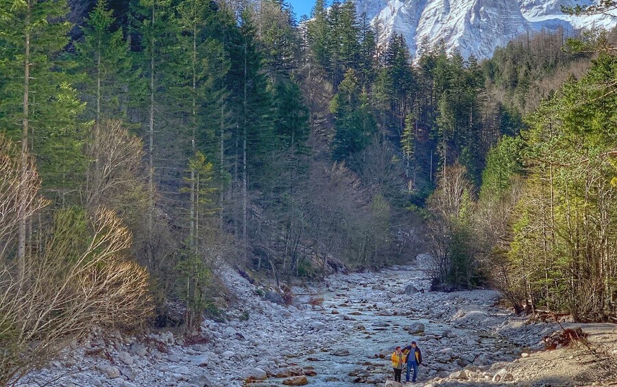 Picture 3 for Activity From Ljubljana: Triglav National Park Tour