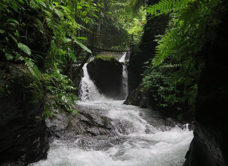 Picture 5 for Activity Bali: Canyon Tubing Adventure