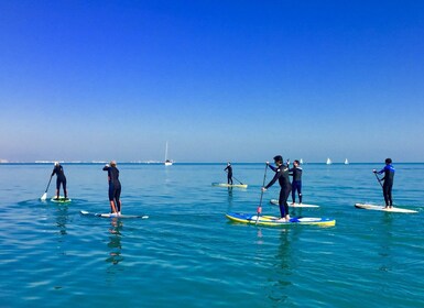 Valencia: clase de surf de remo de 1 hora