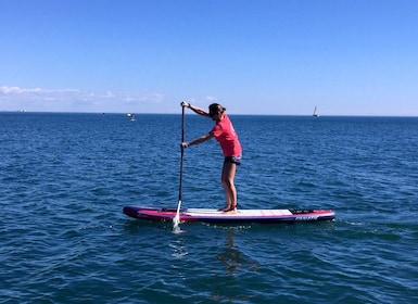 Valencia: 1 tunnin Stand Up Paddle Board -tunti