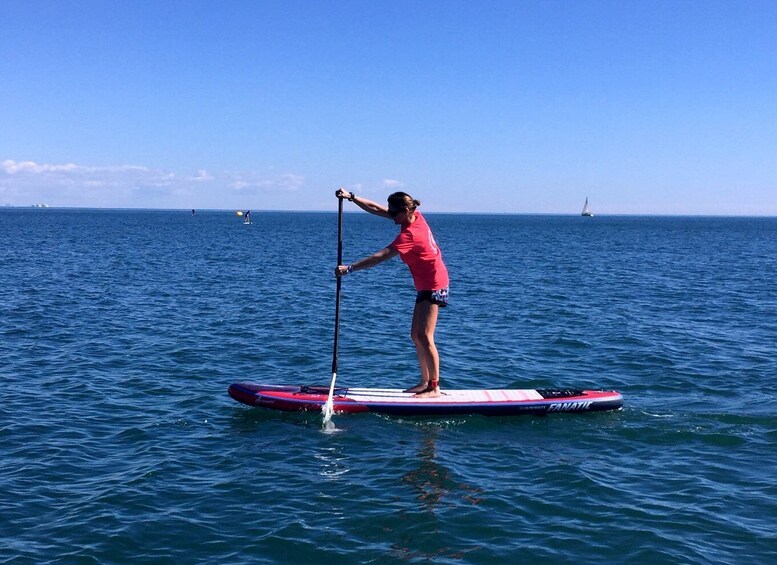 Picture 1 for Activity Valencia: 1 Hour Stand Up Paddle Board Lesson