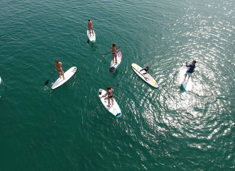 Picture 3 for Activity Valencia: 1 Hour Stand Up Paddle Board Lesson