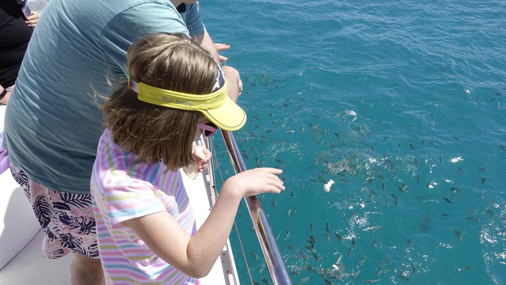 Mahe: St.Anne Marine National Park Reef Safari with Lunch