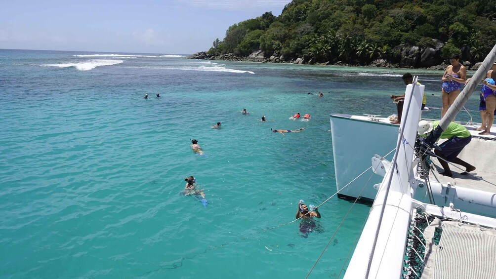 Picture 5 for Activity Mahe: St.Anne Marine National Park Reef Safari with Lunch