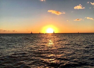 Oahu: Crucero al atardecer en barco con fondo de cristal por Waikiki