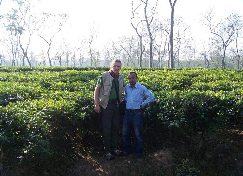 Picture 4 for Activity Srimangal Day Tour: Tea Capital of Bangladesh