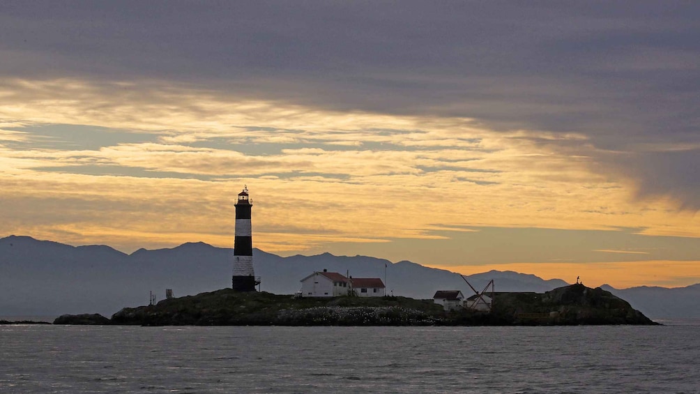 Picture 1 for Activity Victoria: Sunset Whale Watching Tour on an Open Scarab Boat