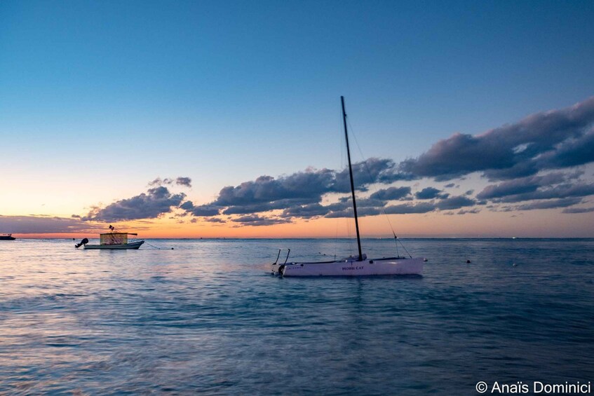 Picture 7 for Activity South Marine Park & Cozumel Reef Scuba Diving Tour