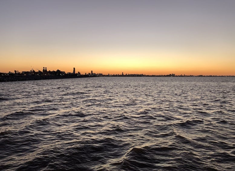 Picture 9 for Activity Buenos Aires: Puerto Madero Sunset Cruise with Open Bar