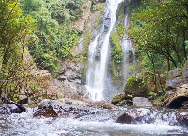 Picture 5 for Activity Khao Lak: Little Amazon Canoe Ride & Tam Nang Waterfall Tour