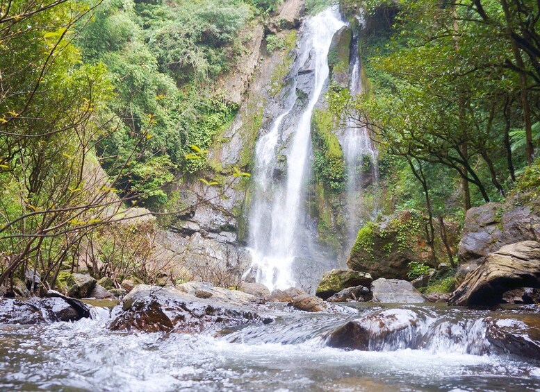 Picture 5 for Activity Khao Lak: Little Amazon Canoe Ride & Tam Nang Waterfall Tour