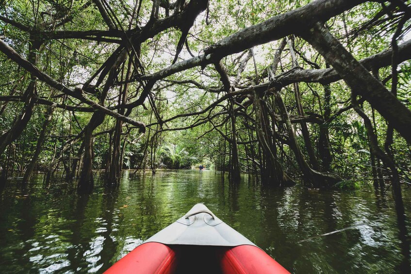 Picture 1 for Activity Khao Lak: Little Amazon Canoe Ride & Tam Nang Waterfall Tour