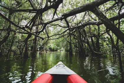Khao Lak: paseo en canoa por el Pequeño Amazonas y recorrido por la cascada...