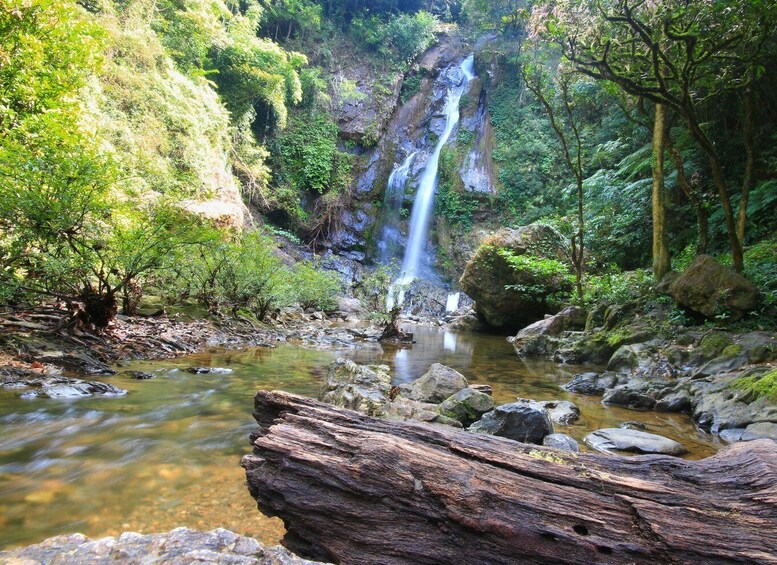 Picture 8 for Activity Khao Lak: Little Amazon Canoe Ride & Tam Nang Waterfall Tour