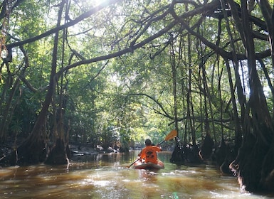 Khao Lak: Kanotfärd i Lilla Amazonas & rundtur i vattenfallet Tam Nang
