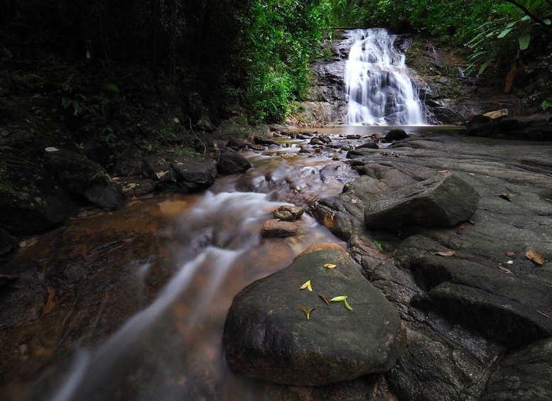 Picture 15 for Activity Khao Lak: Little Amazon Canoe Ride & Tam Nang Waterfall Tour