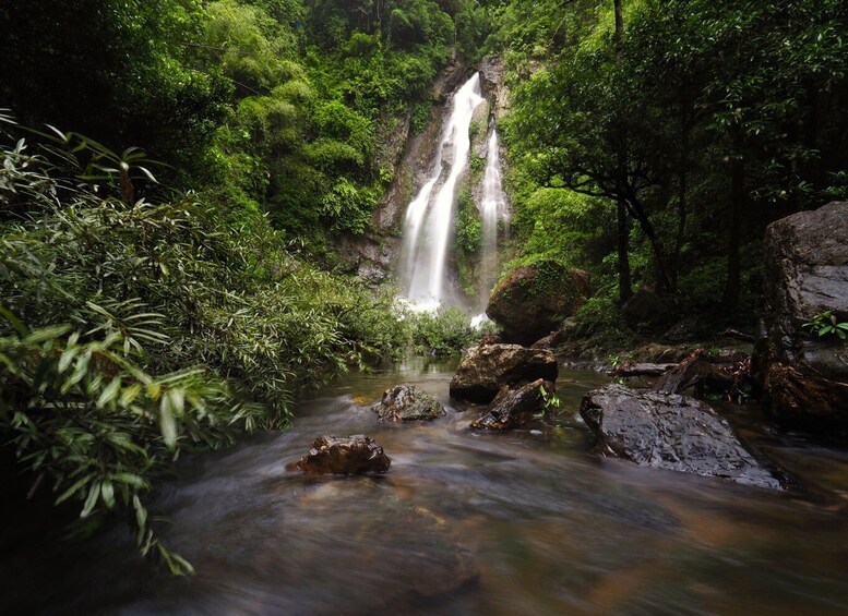 Picture 2 for Activity Khao Lak: Little Amazon Canoe Ride & Tam Nang Waterfall Tour