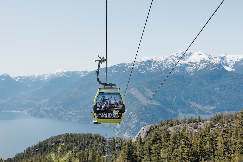 Sea to Sky Gondola and Whistler Village Tour 