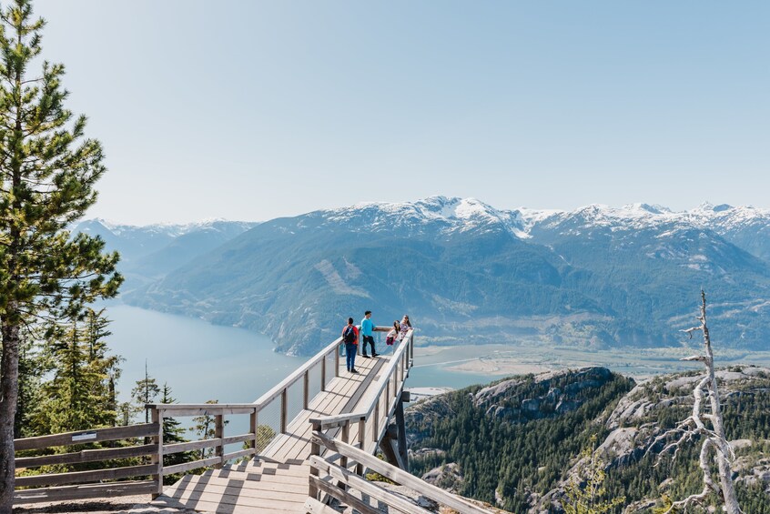 Sea to Sky Gondola and Whistler Village Tour 