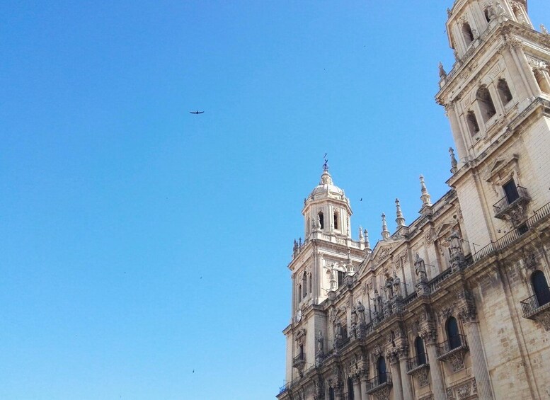 Jaén 2.5-Hour Tour: Cathedral, Arabs Baths and Old City