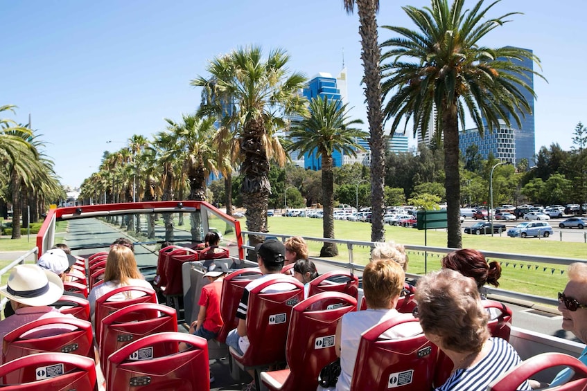 Picture 1 for Activity Perth: Hop-on Hop-off Sightseeing Bus Ticket