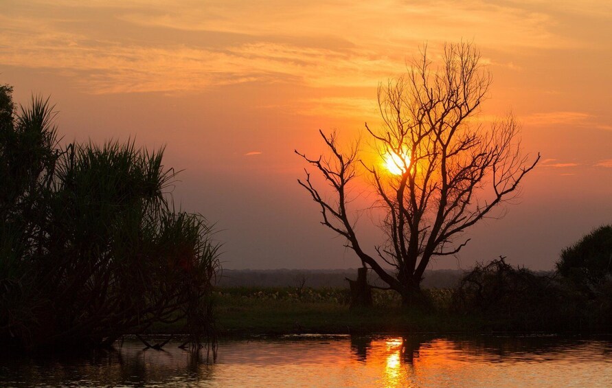 Picture 15 for Activity Northern Territory: Corroboree Billabong Nature Cruises