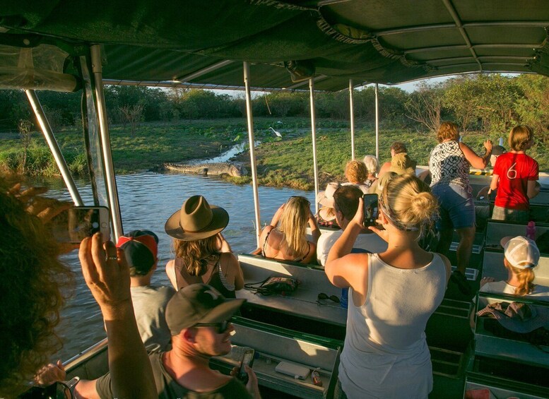 Picture 17 for Activity Northern Territory: Corroboree Billabong Nature Cruises