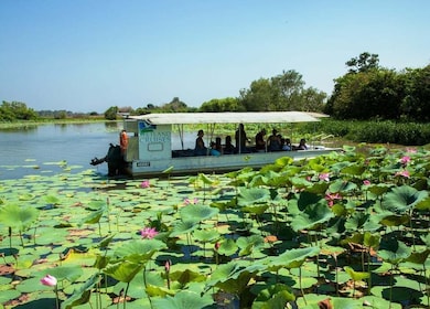 Pohjois-Territorio: Corroboree Billabong luontoristeilyt